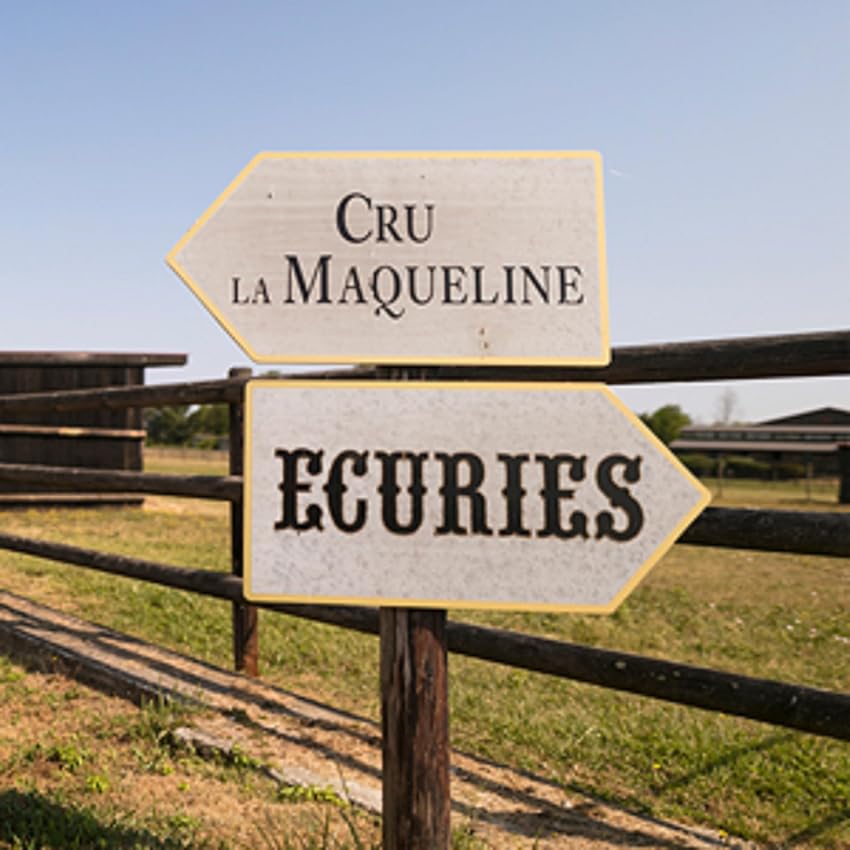 Detalle 2 de Cru la Maqueline DOP Burdeos — Vino tinto 6×75 cl 🍷