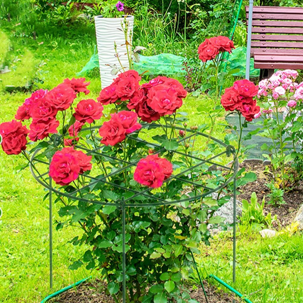 Thumbnail 5 de KAZITOO 4 Pack 60cm Round Grow Through Plant Supports – Heavy-Duty Metal Grid with Detachable Legs