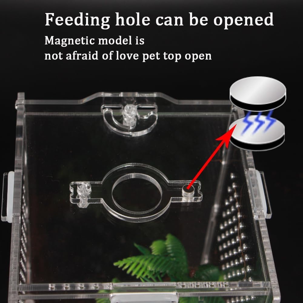 Thumbnail 3 de YUEHUA Acrylic Mini Reptile Transport Box (20 x 10 x 10 cm)