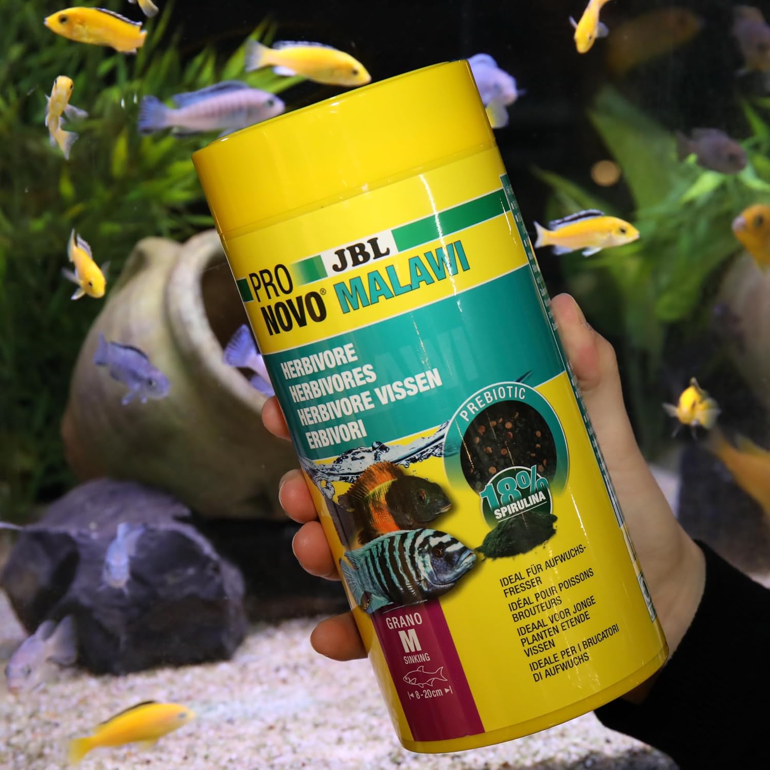 Thumbnail 1 de JBL PRONOVO MALAWI GRANO – Hauptfutter Granulat für Malawi-Buntbarsche 8–20 cm (Größe M, 1 L)