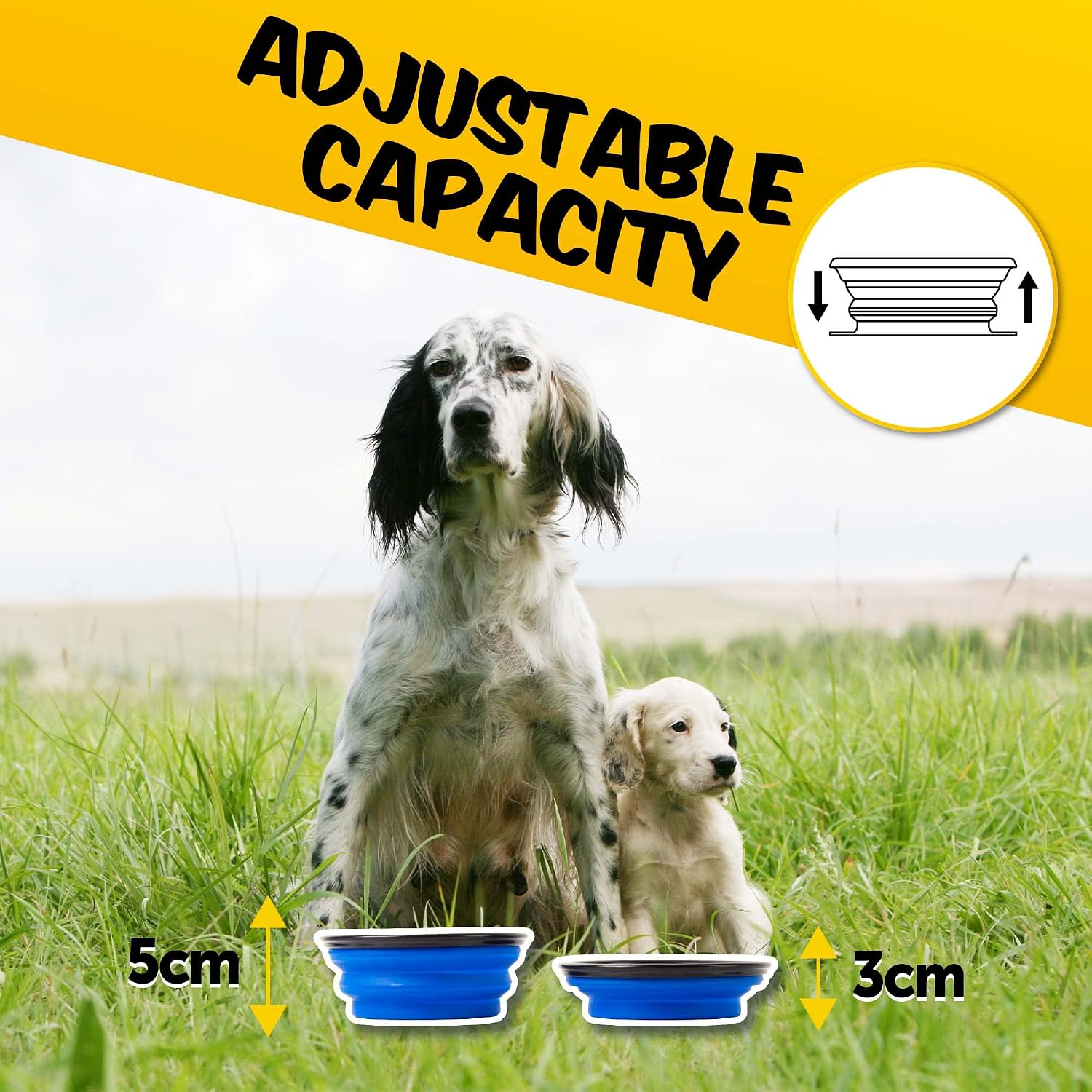 Detalle de PawPride 2-in-1 Dog Water Bottle: Portable Hydration with Collapsible Bowls for Walks, Hiking and Travel