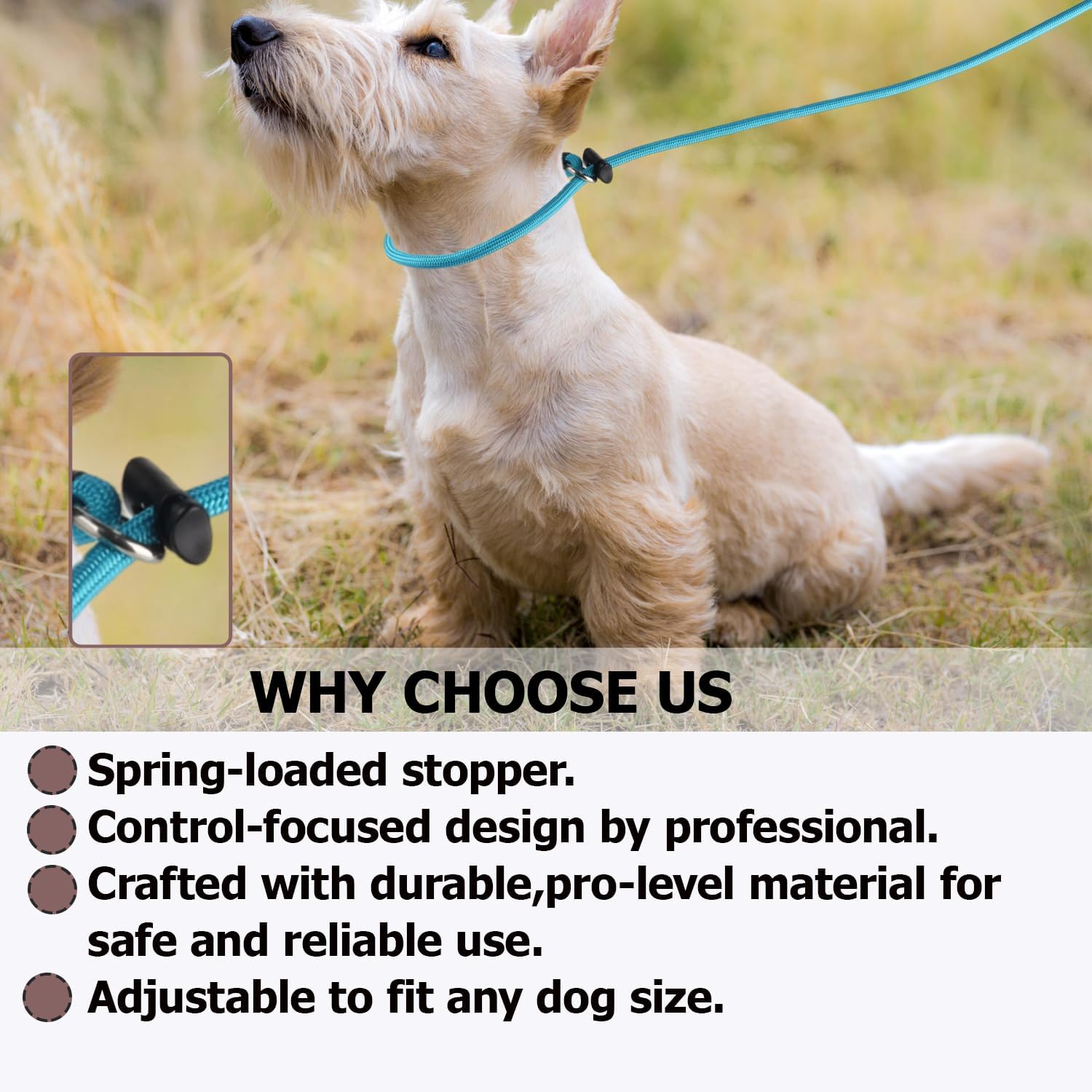 Thumbnail 3 de Slip Lead Dog Leash, 4 FT