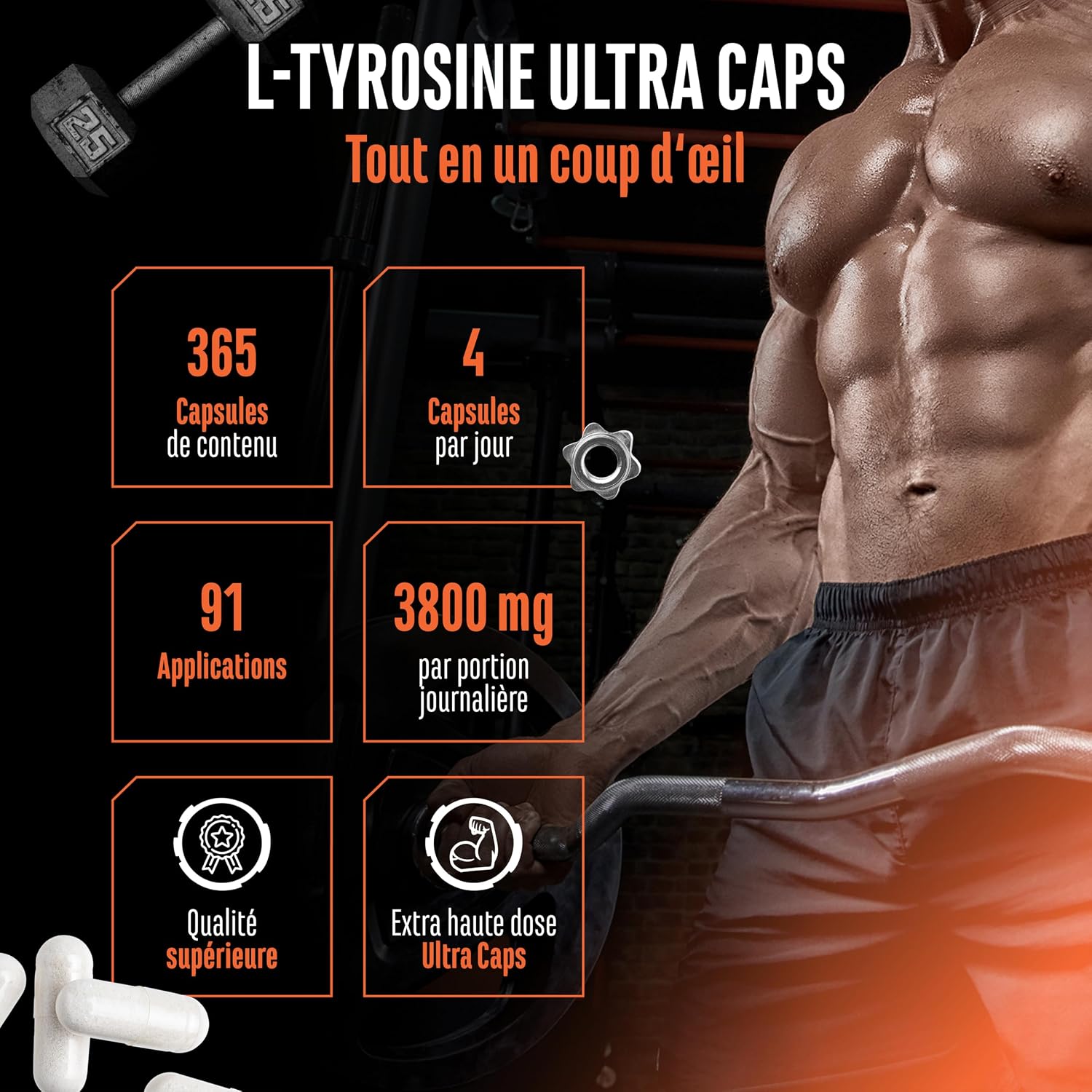 Detalle 2 de L-Tyrosine Ultra Caps – 365 gélules de L-tyrosine pure (950 mg) pour vos routines d’entraînement