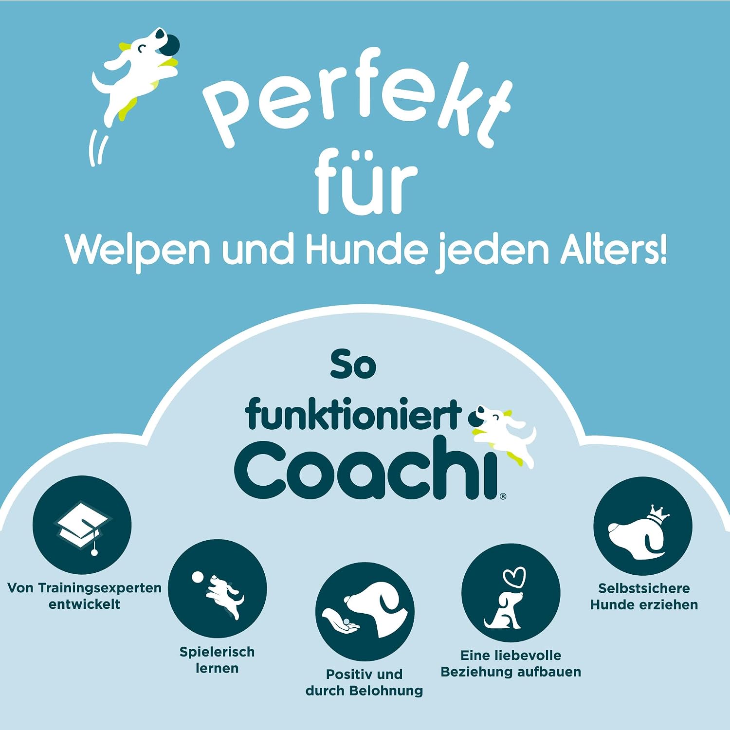 Detalle 2 de Coachi Training Line 10 m, Rückrufleine für Hunde
