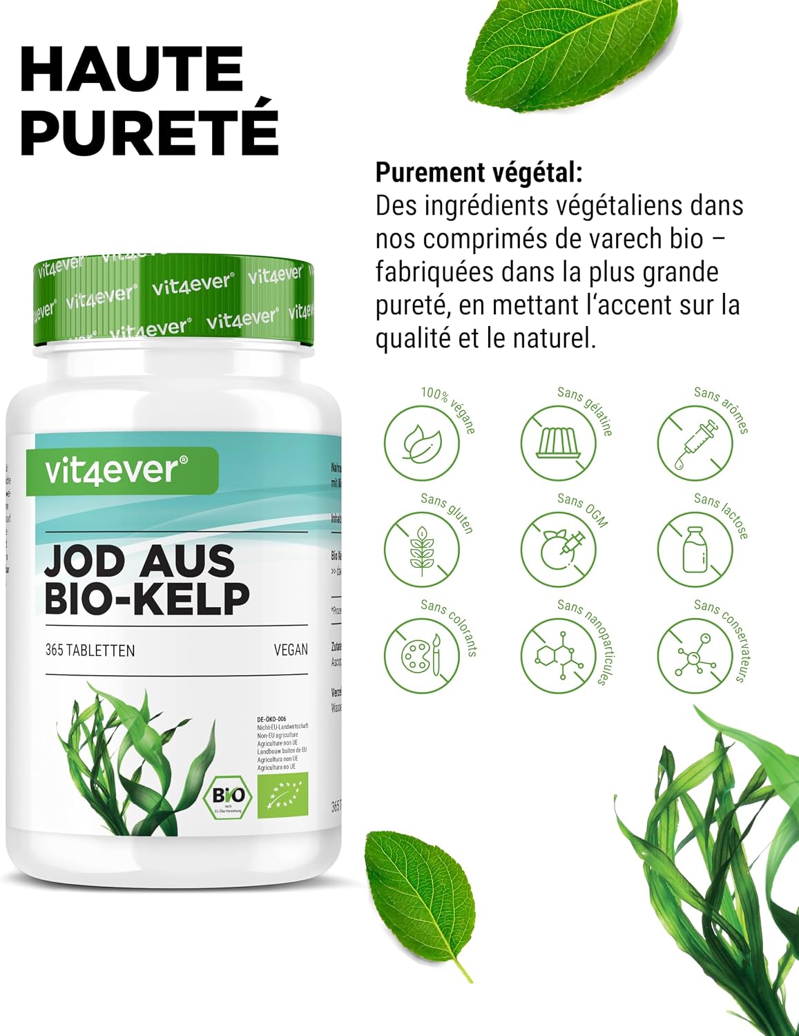 Thumbnail 2 de Kelp Bio (Iode Naturel) – Complément alimentaire vegan, 365 comprimés dosés à 200 µg d’iode