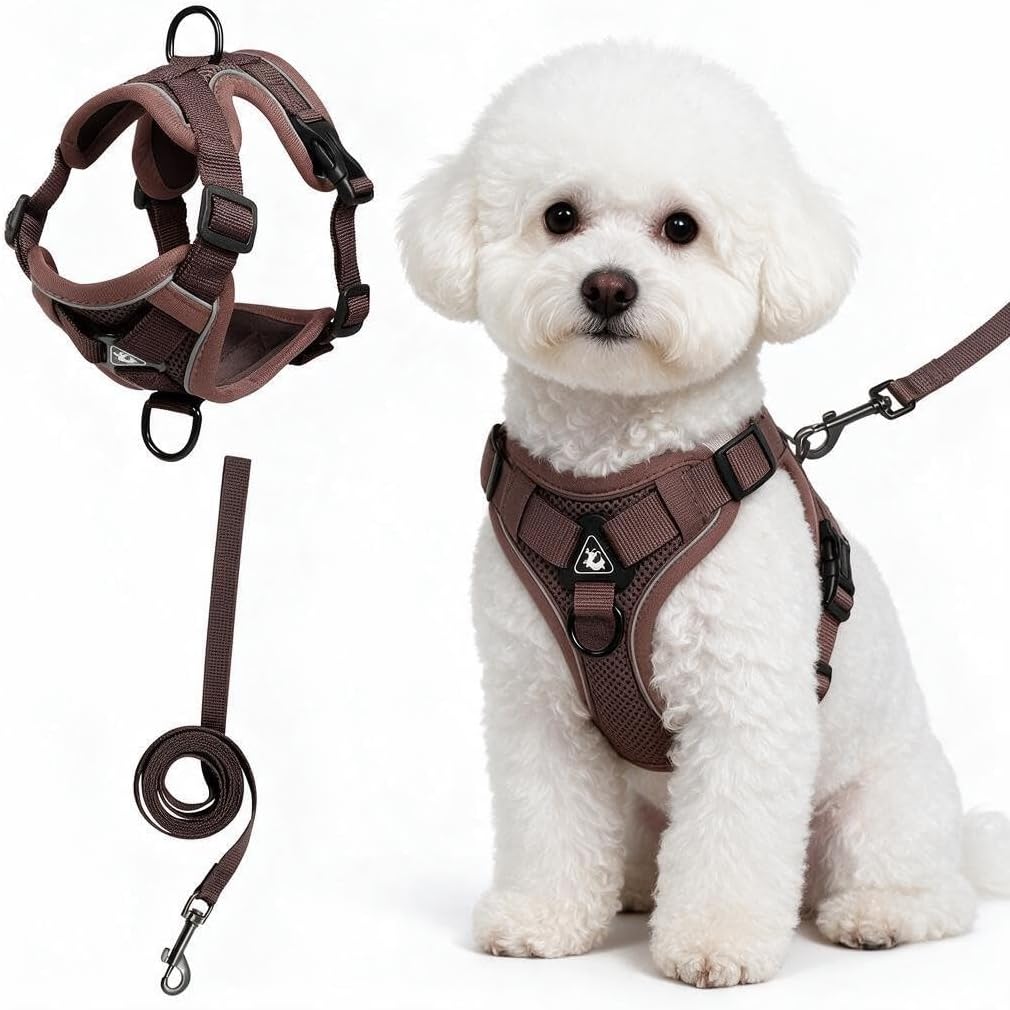 Detalle de Cat and Small Dog Harness and Leash Set, XL