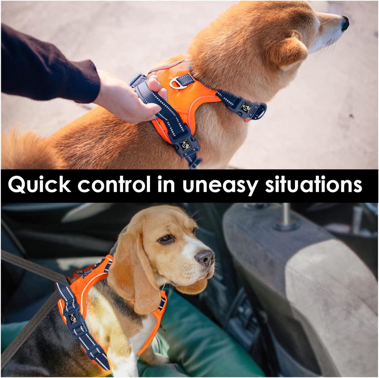 Detalle de PHOEPET No Pull Dog Harness with Escape Proof Design – Front & Back D‑Rings, Reflective, Adjustable (Orange Base & Blue Straps) – Size L