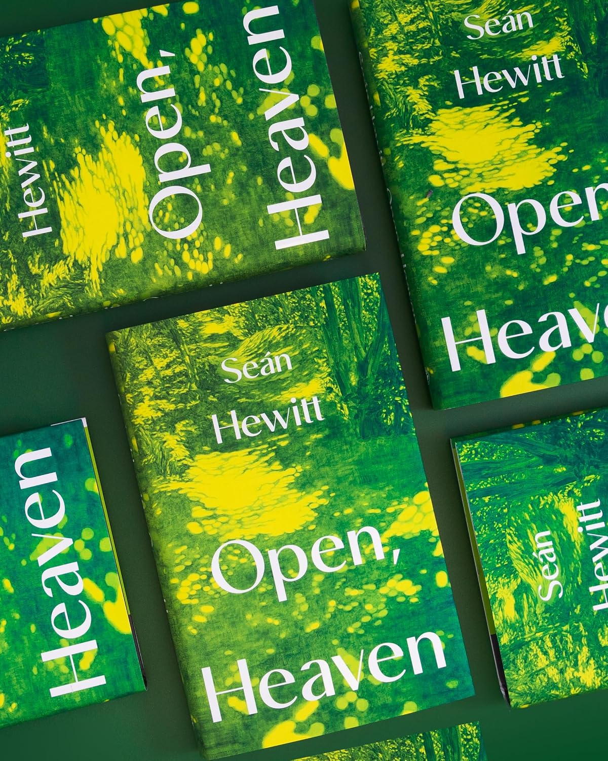 Detalle 2 de Open, Heaven – roman over de invloed van een eerste liefde, 240 pagina’s