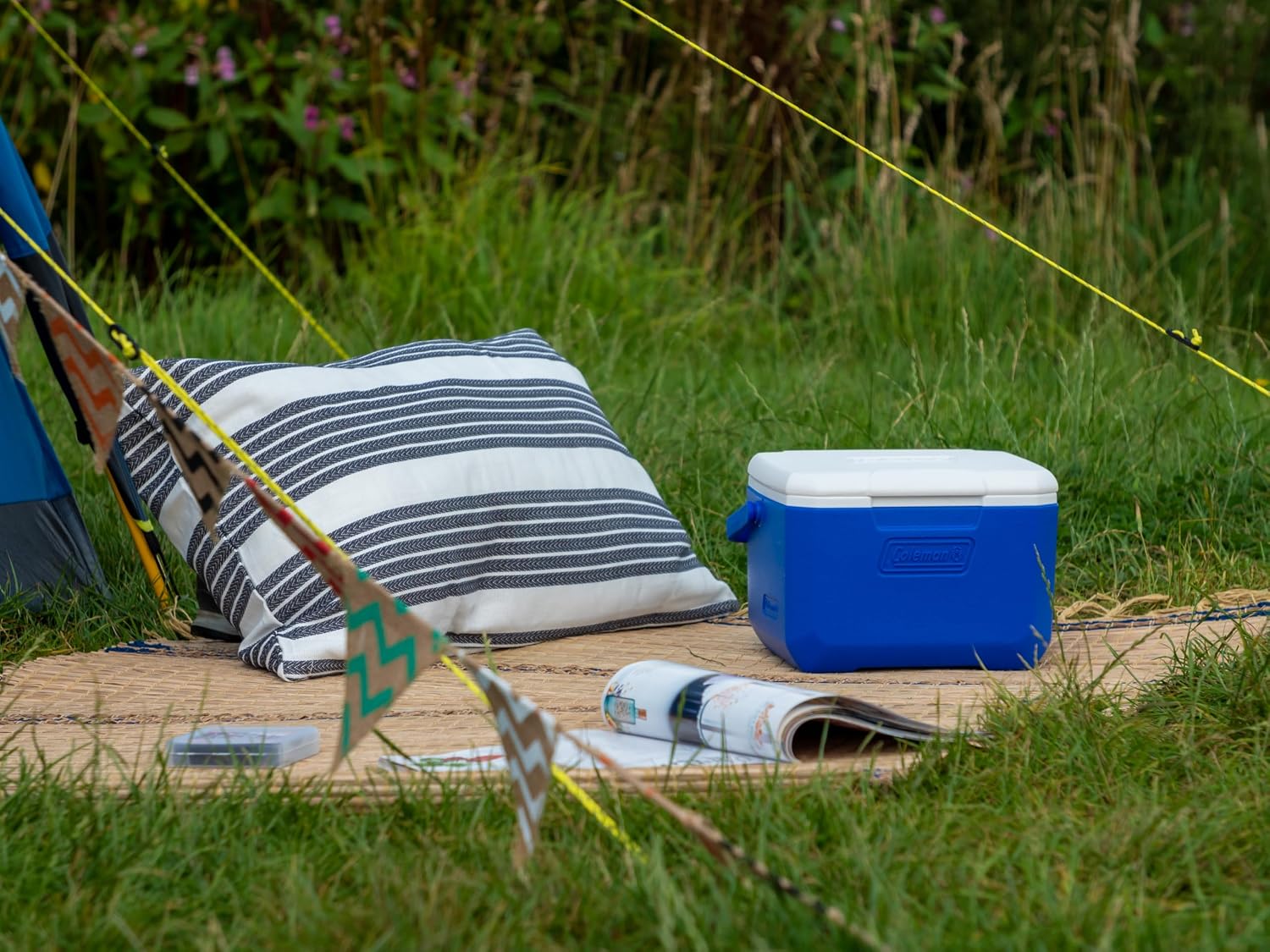 Thumbnail 6 de Coleman Nevera portatile 4 L: leggera, robusta e versatile per outdoor