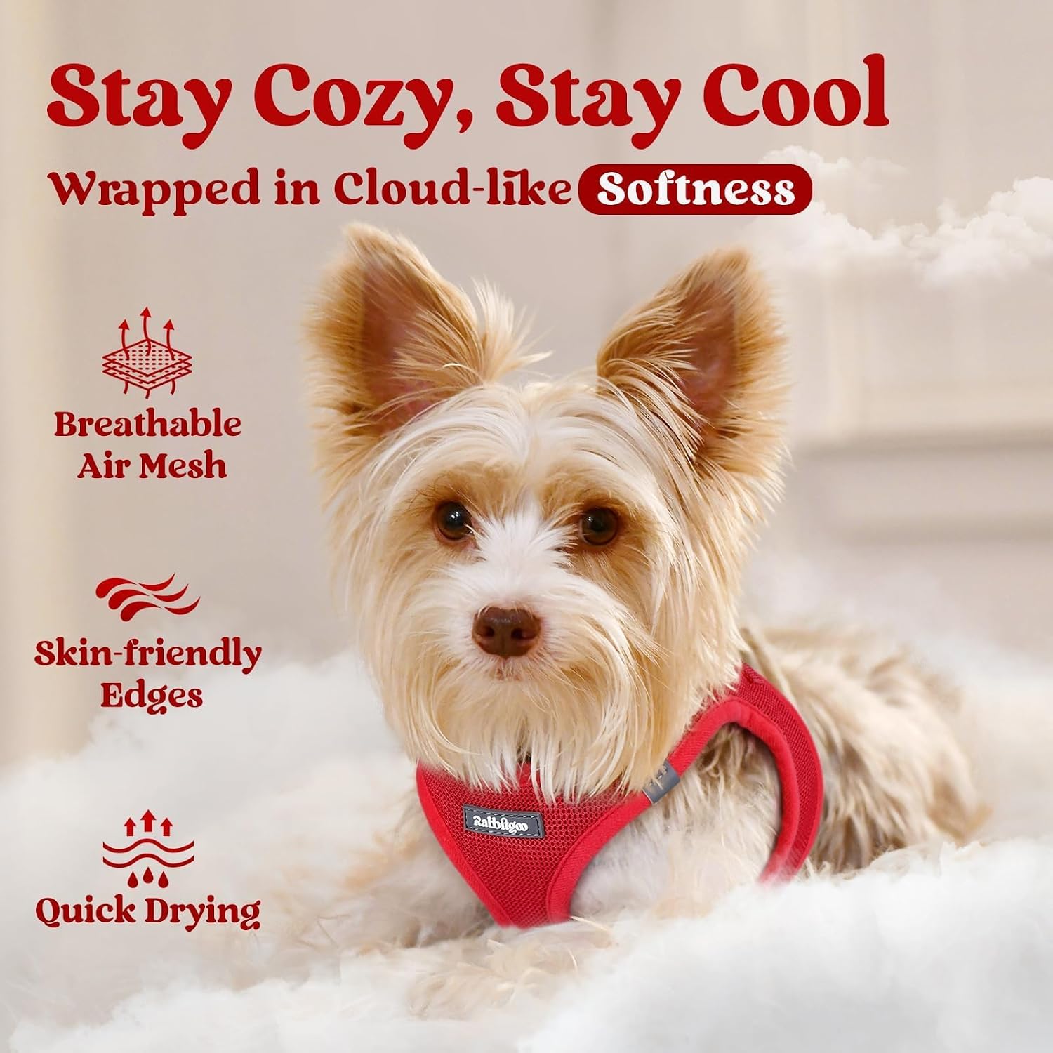 Thumbnail 2 de rabbitgoo Small Dog Harness: Step-In Soft Mesh Vest in Red
