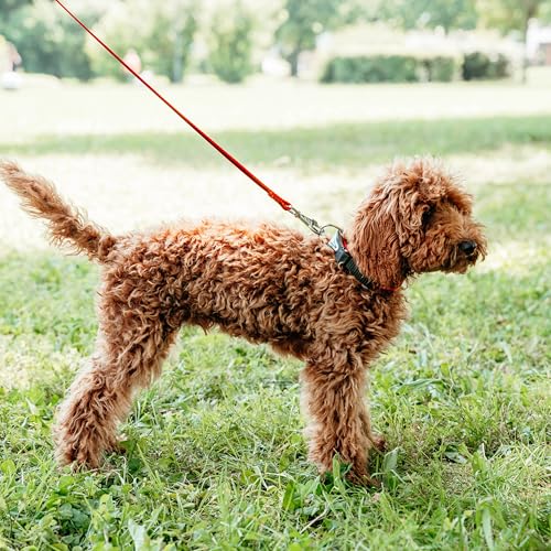 Detalle 2 de Ferplast Ergocomfort Correa Acolchada para Perro 🐶 120 cm