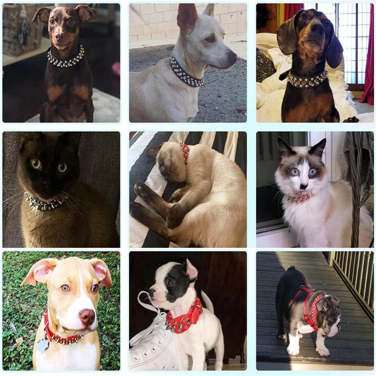 Thumbnail 5 de Spiked Dog Collars Studded Leather Rivet Puppy Collar (Adjustable) in Red