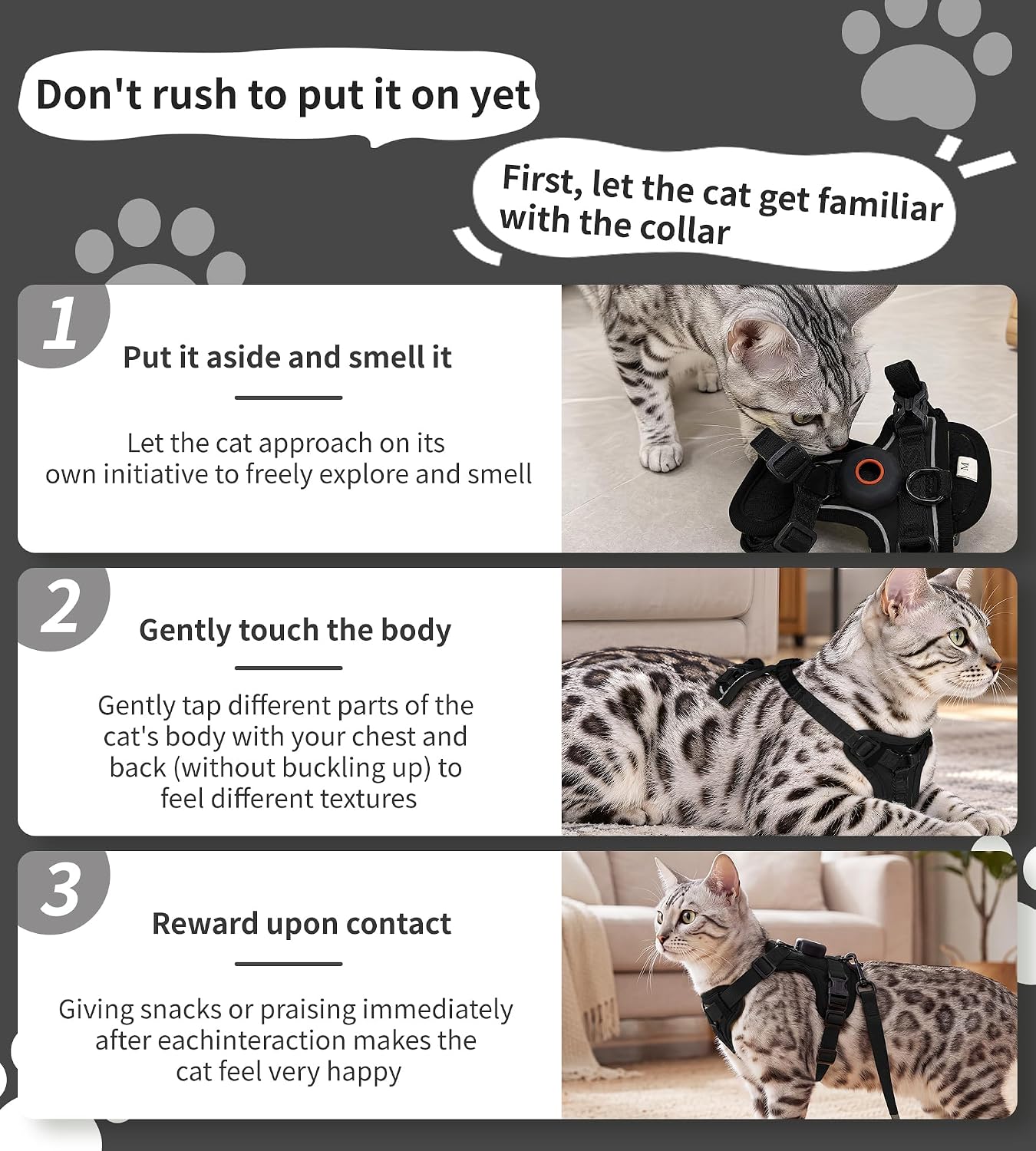 Thumbnail 5 de Cat Harness and Leash Set, Large