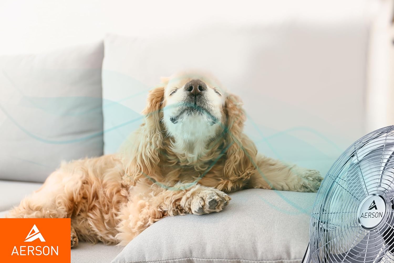 Thumbnail 6 de TRESKO AERSON ventilatore da pavimento 50 cm con 3 livelli di potenza e inclinazione fino a 110°