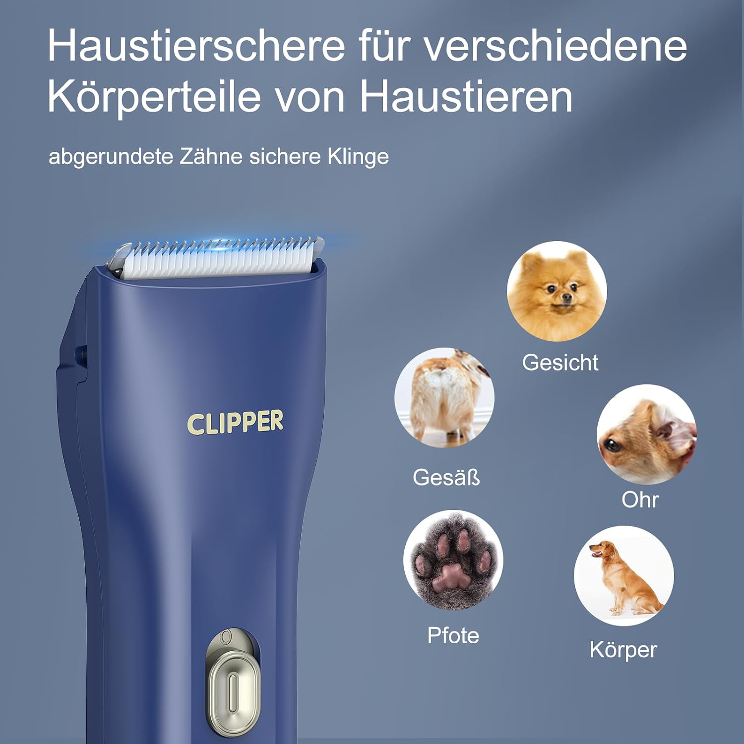 Detalle de Professionelle Hundeschermaschine 7500RPM