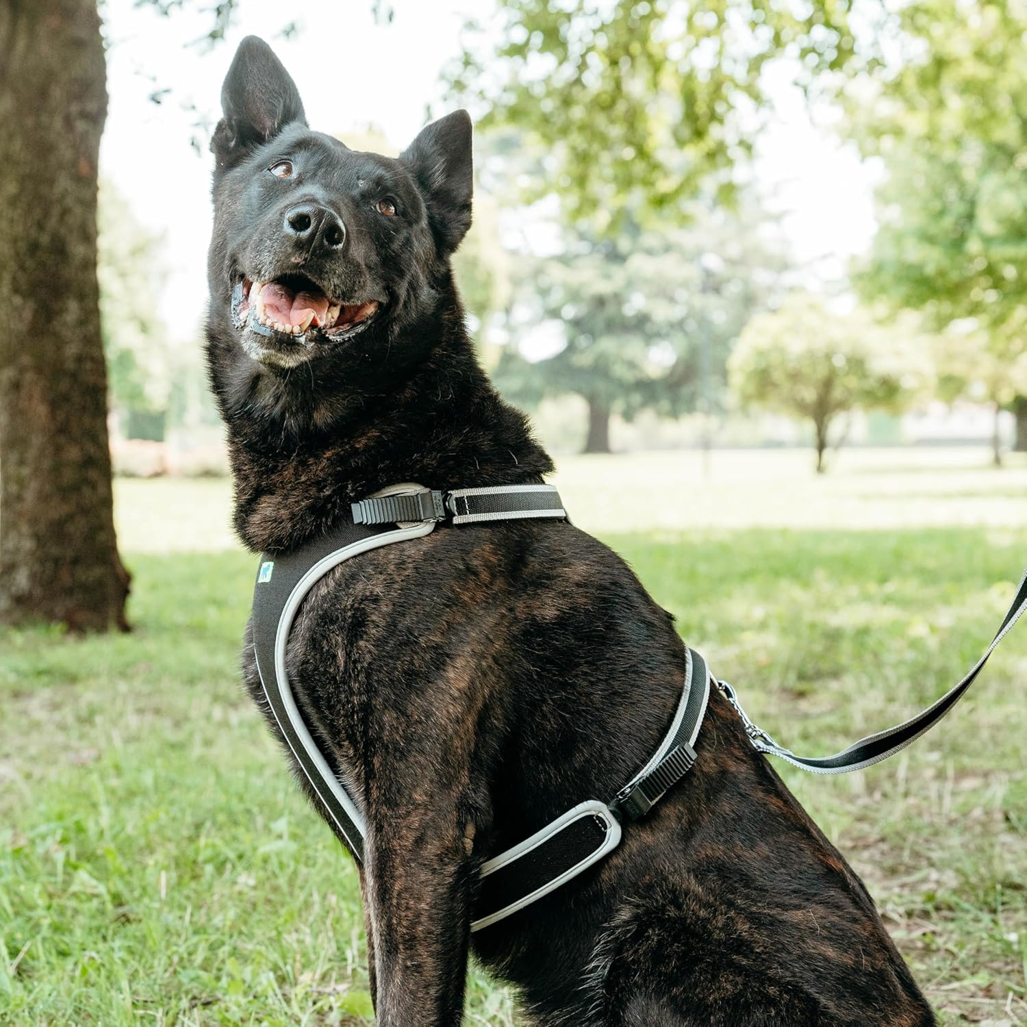 Detalle 2 de Ferplast ERGOCOMFORT Pettorina per cane Extra Large 🐕
