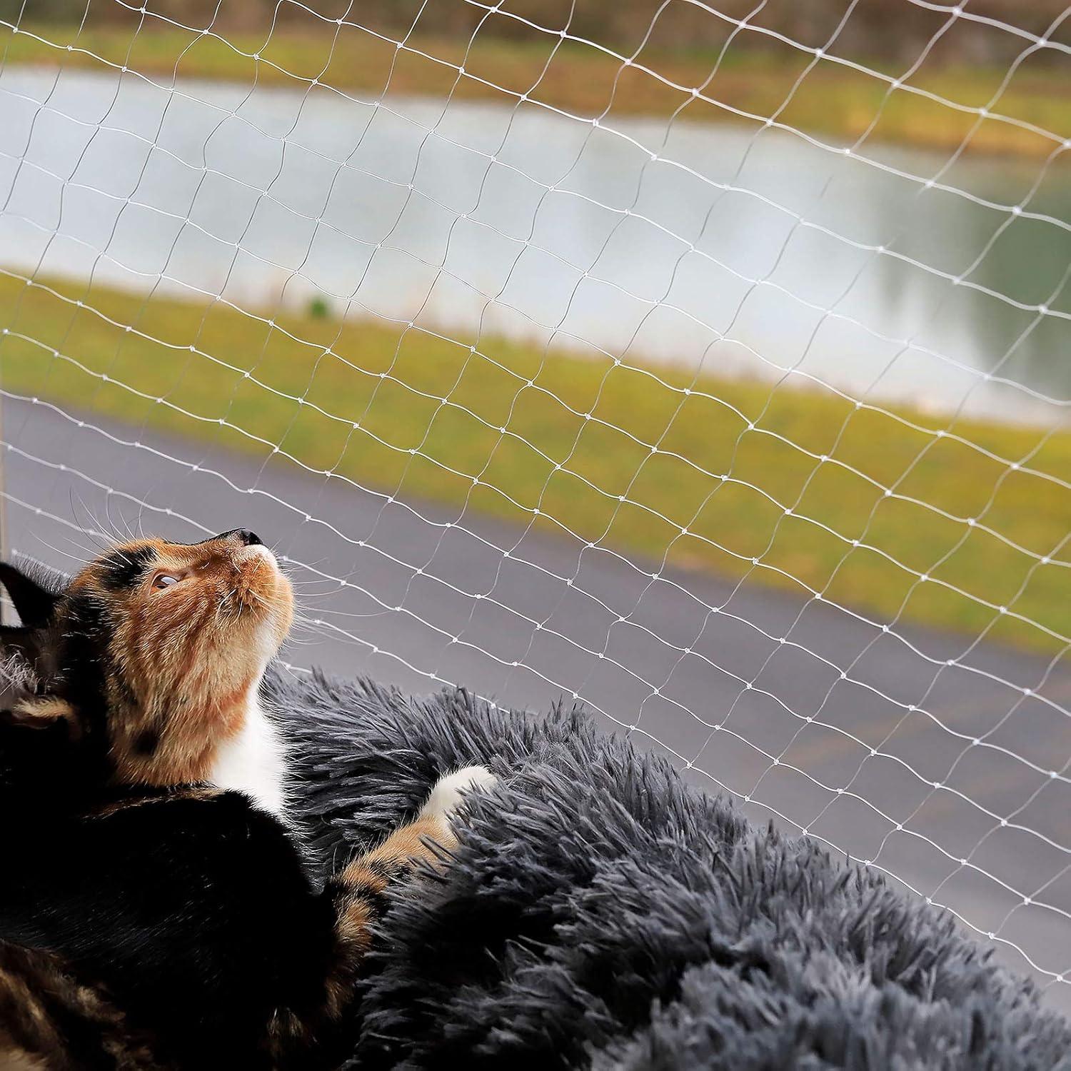 Detalle 2 de lionto Balkonschutznetz 4 x 10 m für Katzen