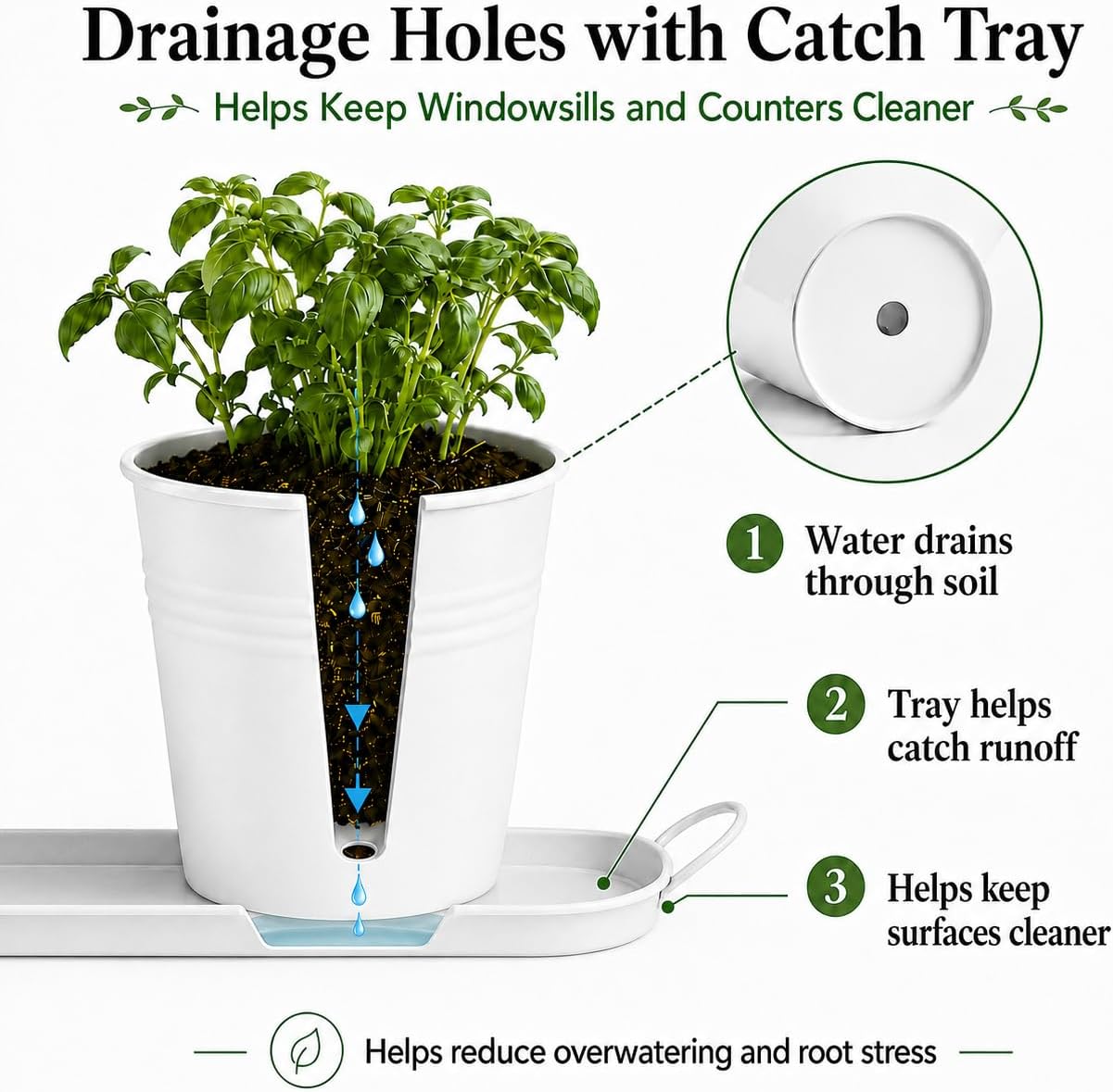 Detalle de Indoor herb planter set, 4-inch pots