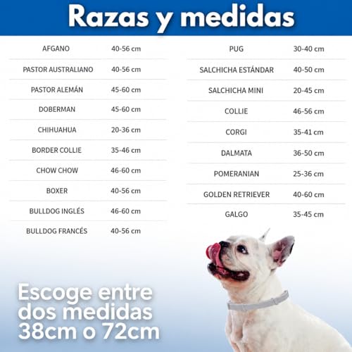 Detalle de Tempotech Collar Antiparasitario Natural para Perro – 100% Natural, hasta 8 Meses, 70 cm