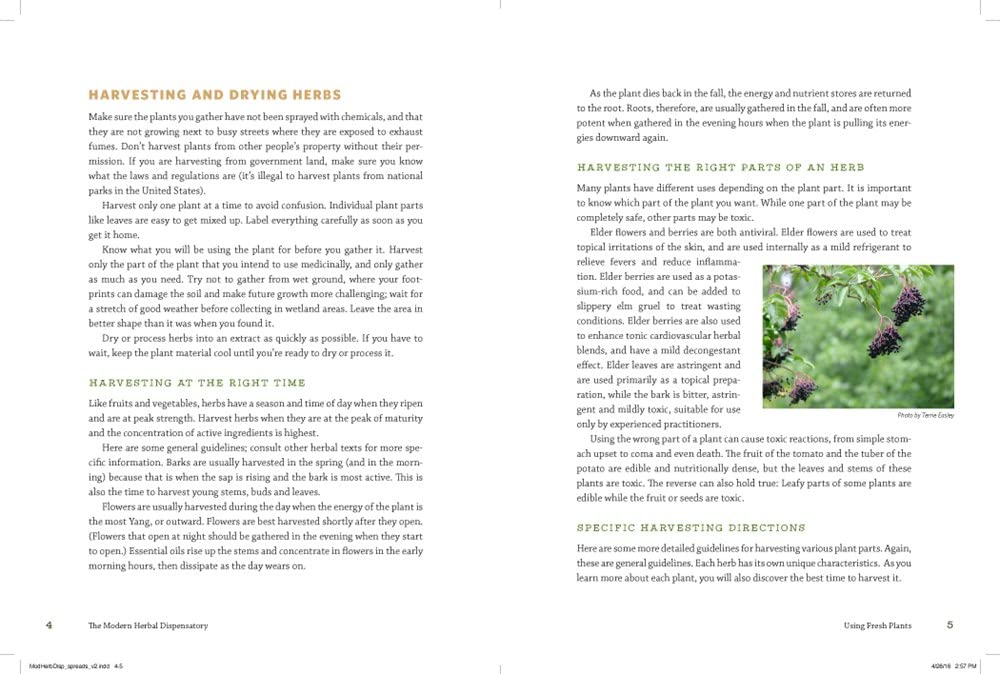 Detalle de The Modern Herbal Dispensatory: A Medicine-Making Guide – geïllustreerd boek, 376 pagina’s
