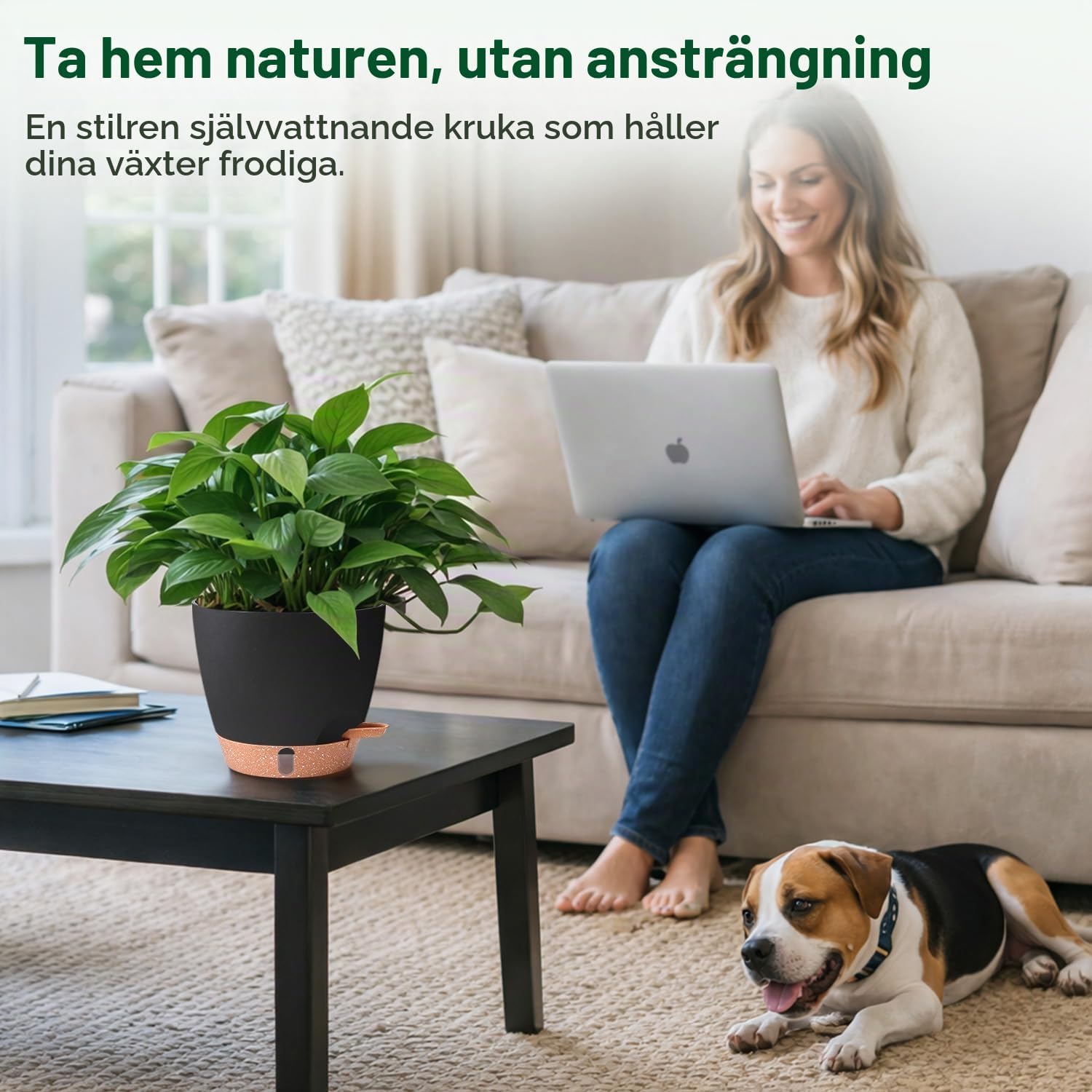 Detalle de T4U självvattnande blomkrukor 20 cm, svarta, 2-pack med synlig vattennivå