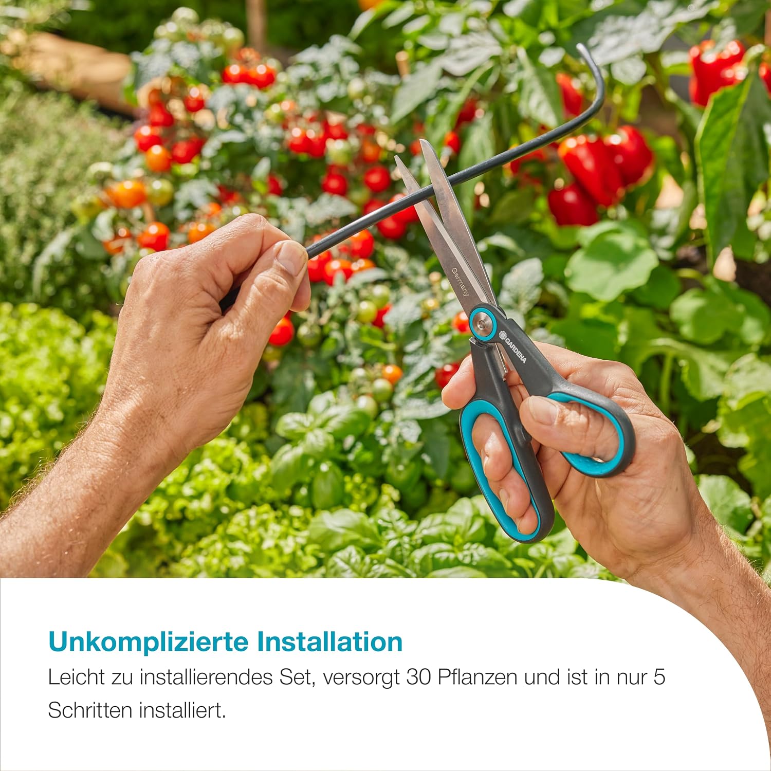 Detalle de GARDENA AquaBloom L Set: autarkes Solarsystem zur Bewässerung von bis zu 30 Pflanzen