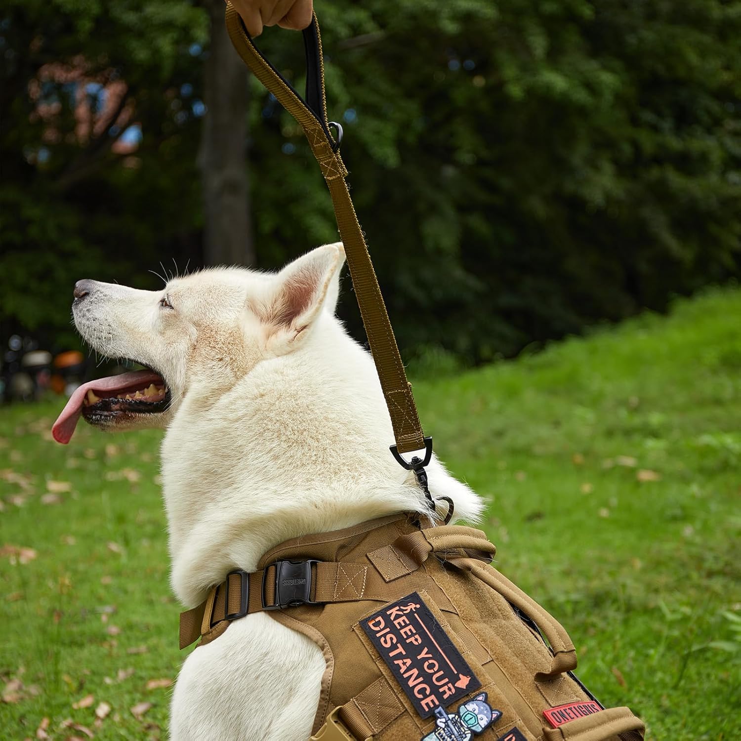 Detalle de OneTigris Bolt Laisse courte pour chien 52 cm – Lente et robuste, pour chiens de taille moyenne à grande