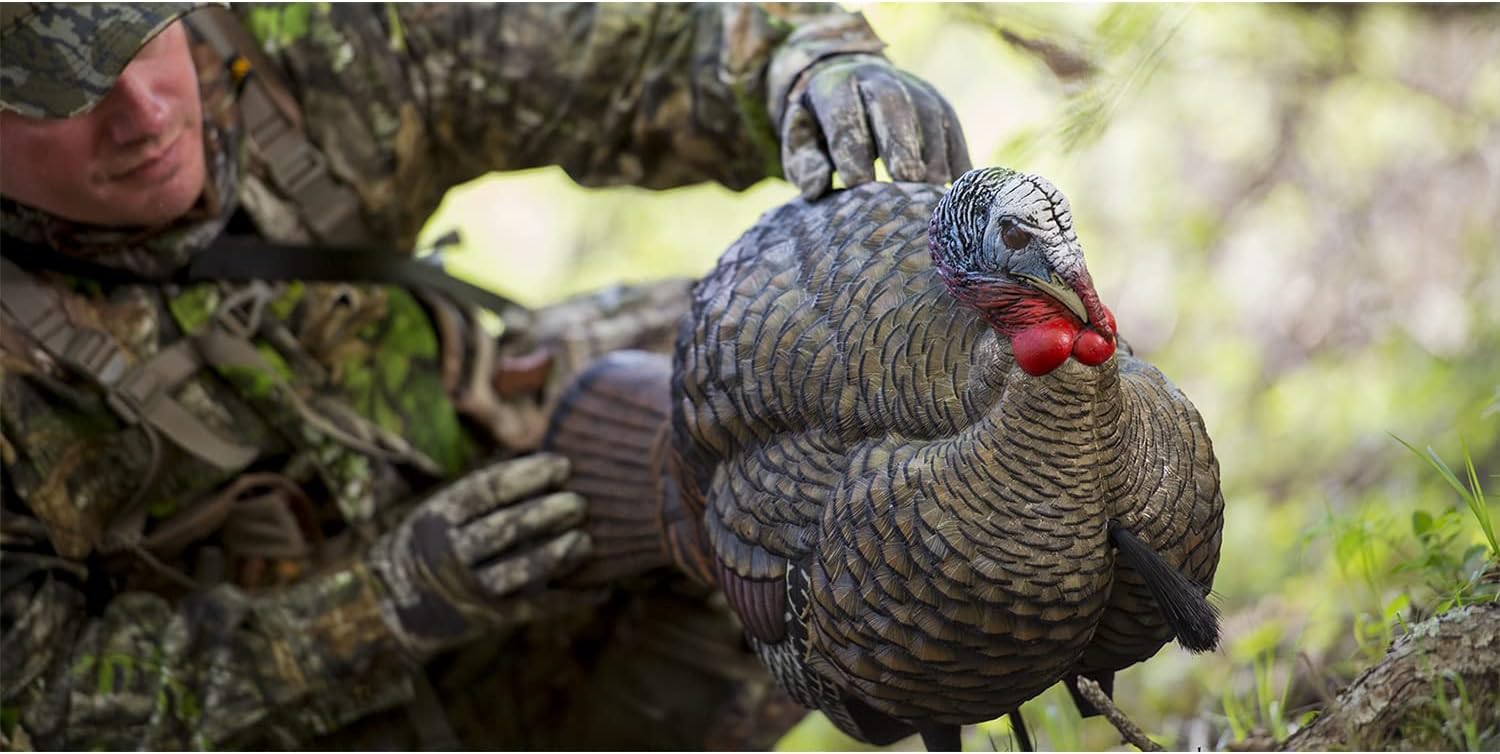 Detalle de Avian X LCD 1/2 Strut Jake Turkey Decoy