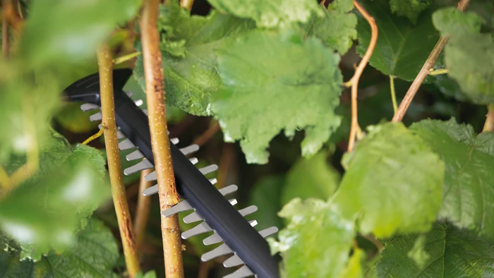 Thumbnail 7 de Bosch Universal HedgeCut 18v-50 (ohne Akku) – kompakte Heckenschere für Hecken bis 20 mm Astdicke