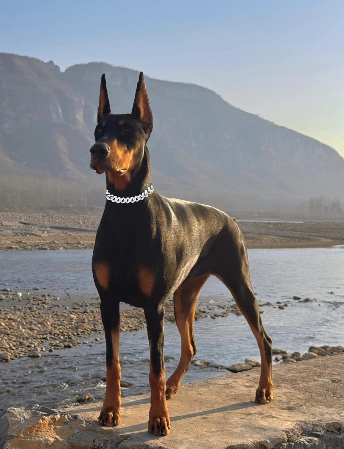 Thumbnail 3 de 18-inch Rose Gold dog chain collar