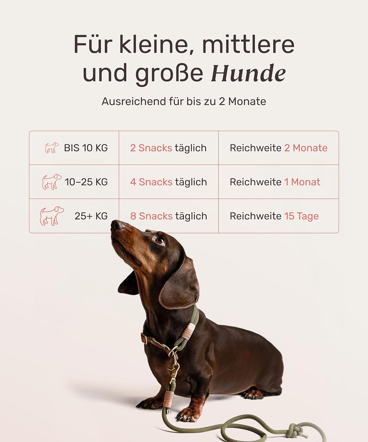Detalle 2 de Fellpflege Leckerlis Hund 350g