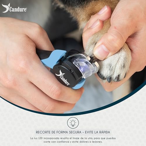 Detalle de Candure Cortaúñas para Perros con Luz LED — Corte Seguro y Preciso con Sensor de Seguridad
