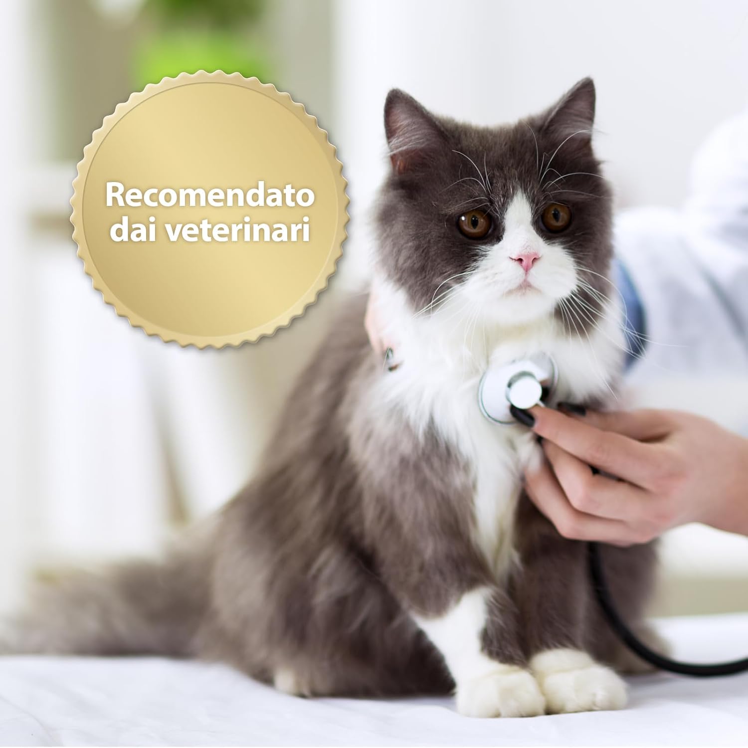 Detalle de Felisept Family Comfort Ricarica 45 ml: calma naturale per famiglie di gatti