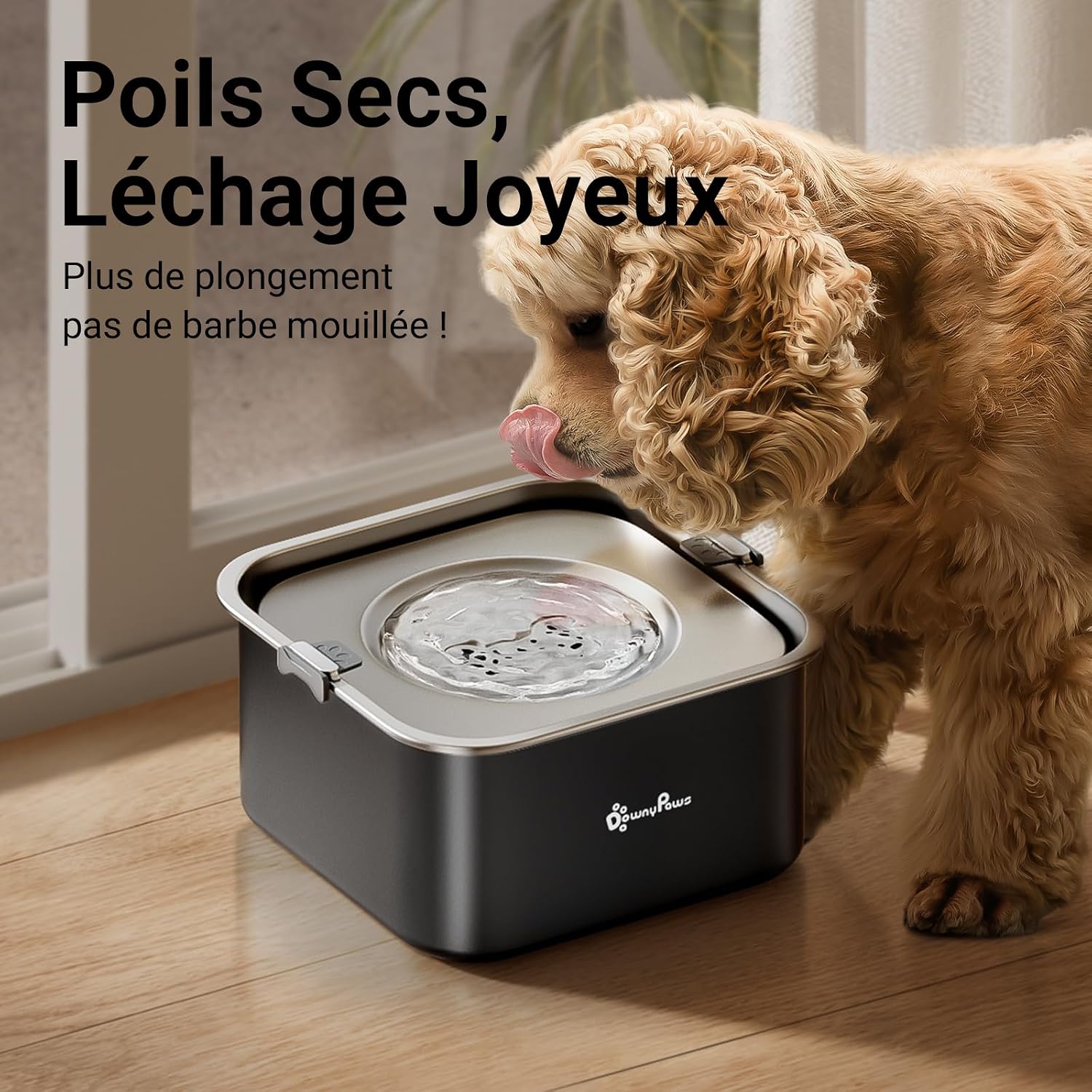 Detalle de DownyPaws Gamelle Anti-Éclaboussures pour Chien – 3L en Acier Inoxydable, Noir