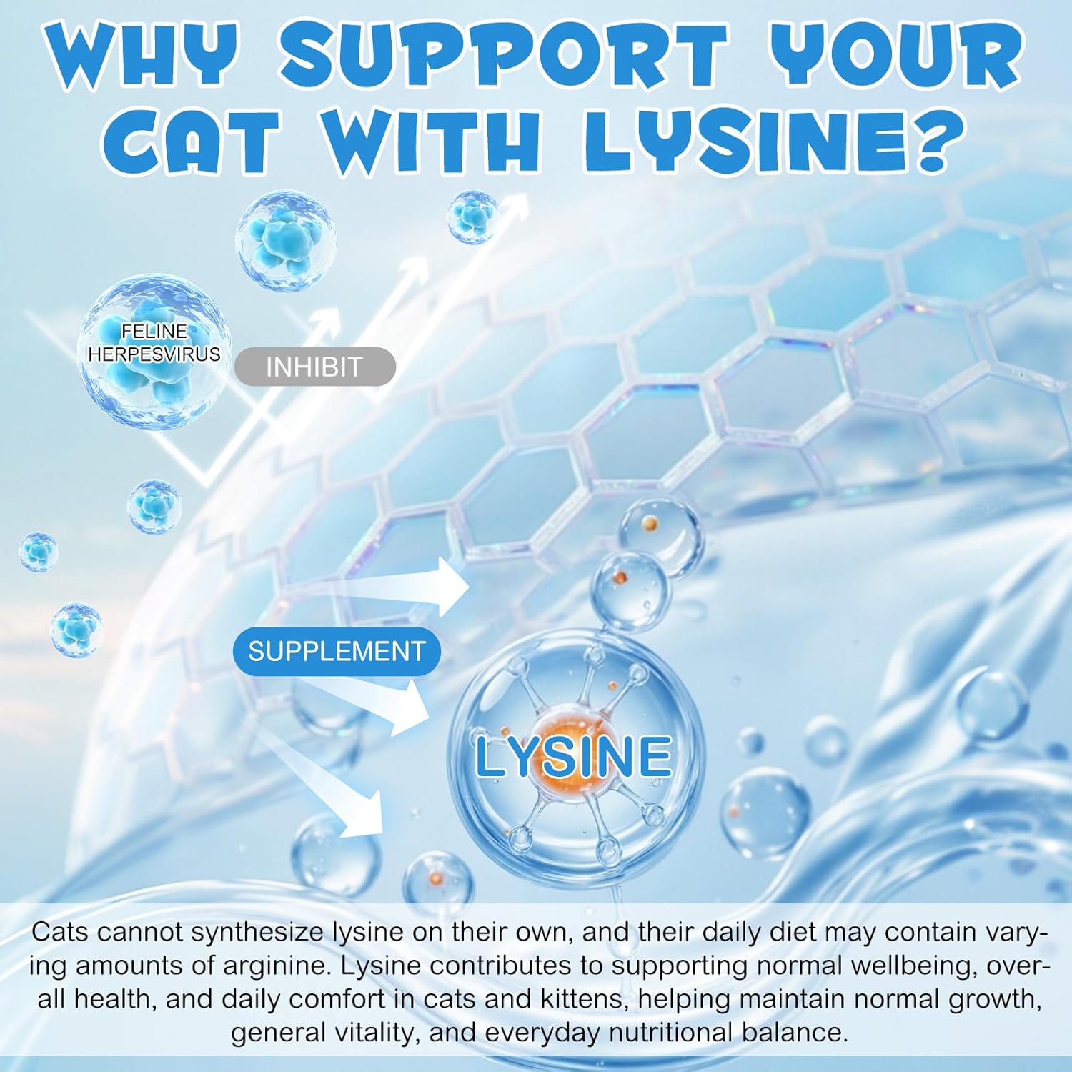 Thumbnail 1 de HEXIN Lysin Katze 60ml L-Lysin Tropfen