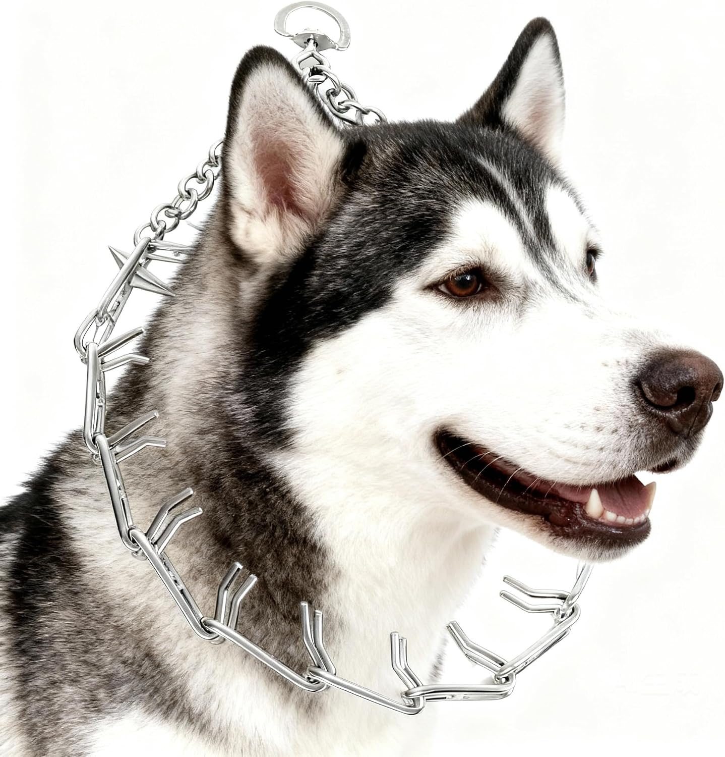 Detalle de Dog Training Prong Collar, 22-Inch