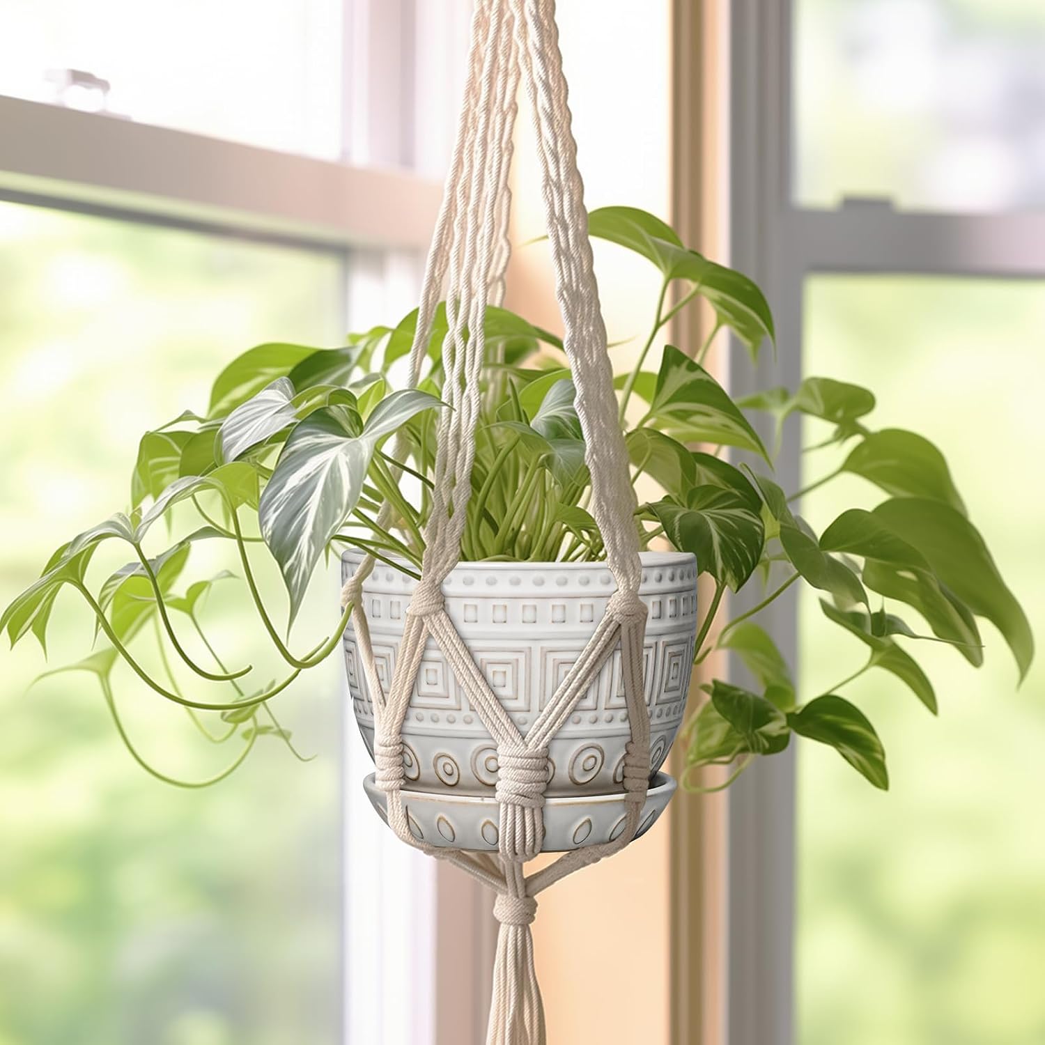 Detalle 2 de G EPGardening Ceramic Plant Pot, 5-Inch