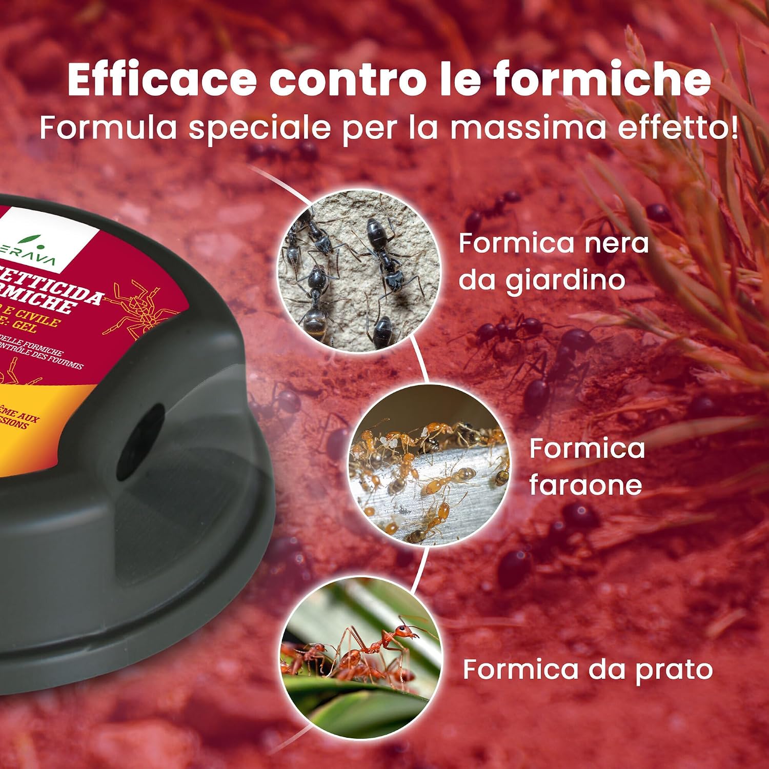 Detalle de LERAVA Trappole Formiche per Casa – Esche insetticida potenti, sicure per bambini e animali