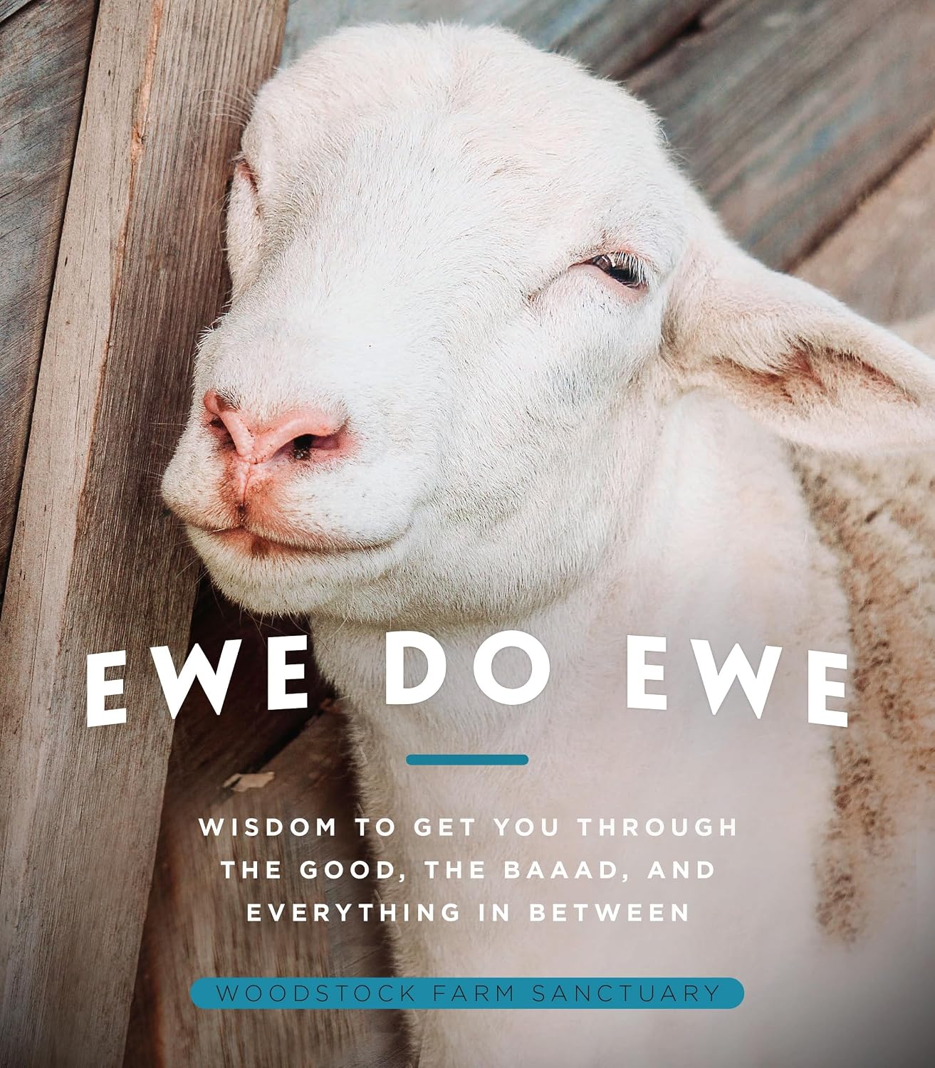 Detalle de Ewe Do Ewe: Wisdom to Get You Through the Good, the Baaad, and Everything in Between Hardcover Book