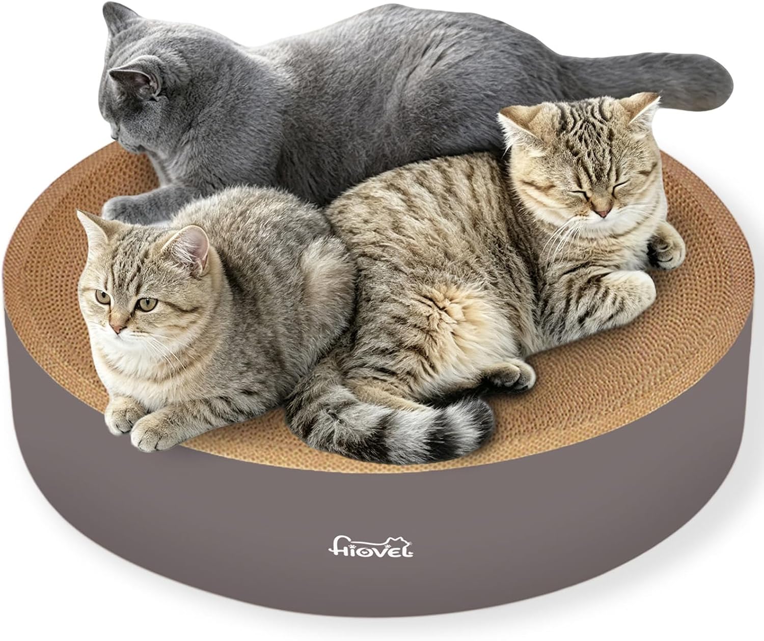 Thumbnail 6 de HIOVEL cat scratching board 41cm 2-in-1