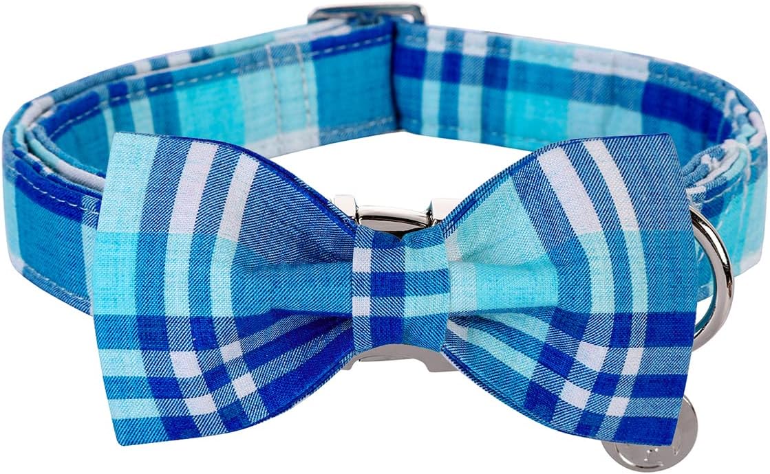 Detalle 2 de DOGWONG Cotton Dog Collar