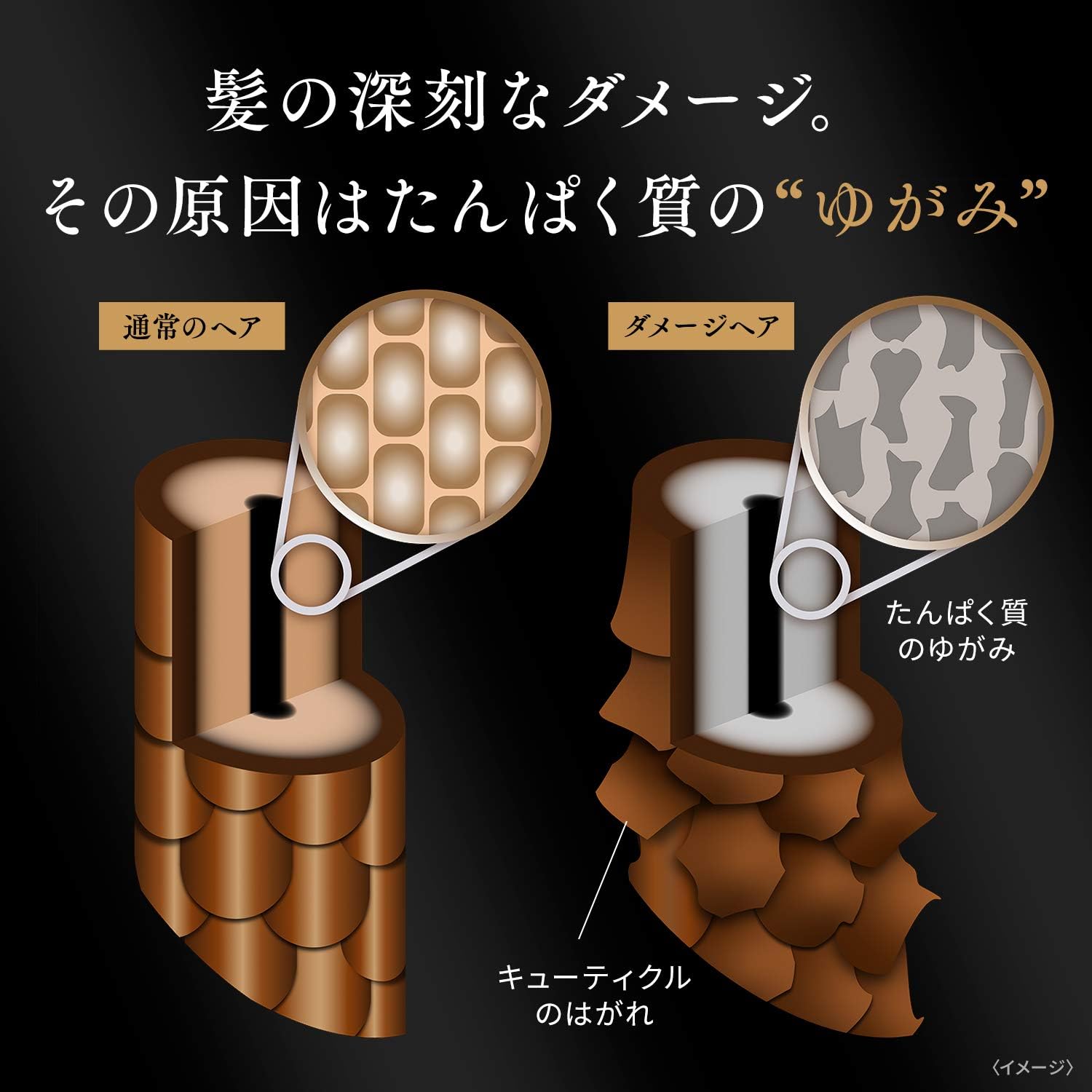 Detalle de LUX バイオフュージョン ダメージディフェンス コンディショナー 詰め替え 400g