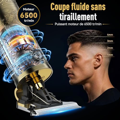 Thumbnail 4 de Solati Tondeuse cheveux et barbe sans fil, lames inox et écran LED