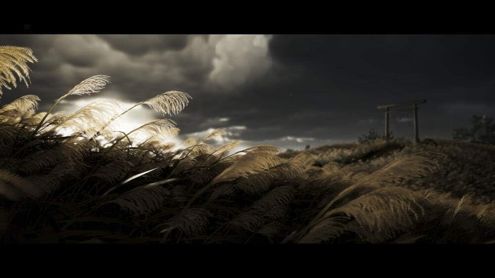 Detalle de PlayStation Ghost of Tsushima Director’s Cut sur PlayStation 4