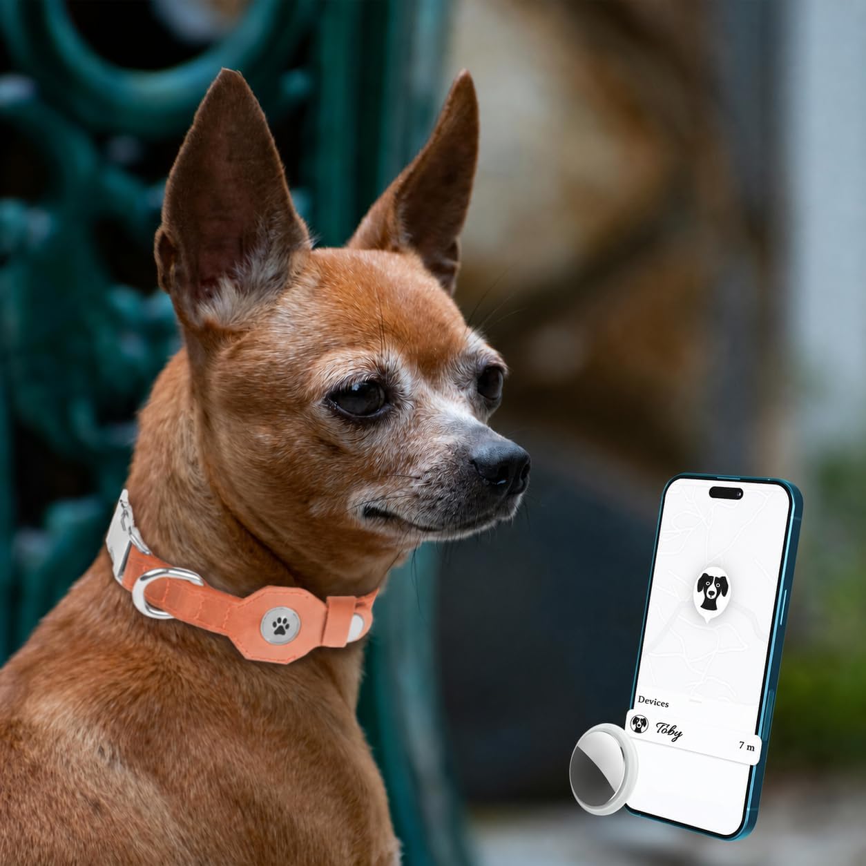 Detalle 1 de BUDKAS Leather Dog Collar XL
