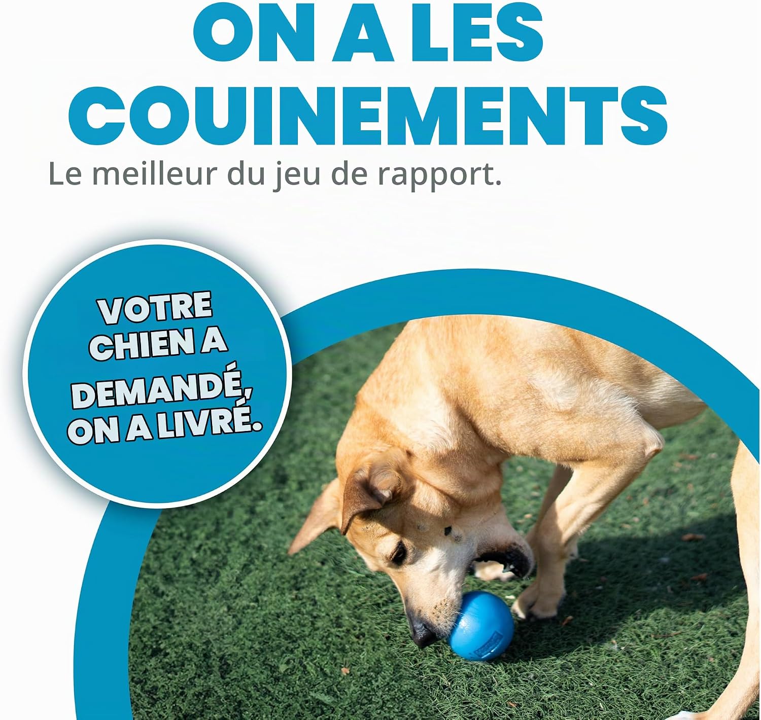 Thumbnail 2 de Planet Dog Orbee-Tuff Squeak-bal voor honden, blauw, piepend en drijvend