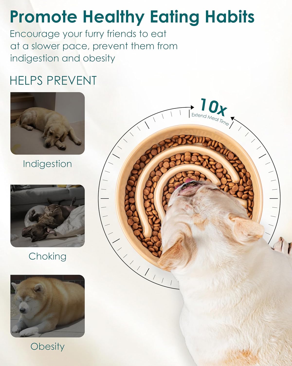 Thumbnail 2 de vancasso Slow Feeder Dog Bowl (0.6 Cup) ceramic puzzle dish for small breeds and kittens