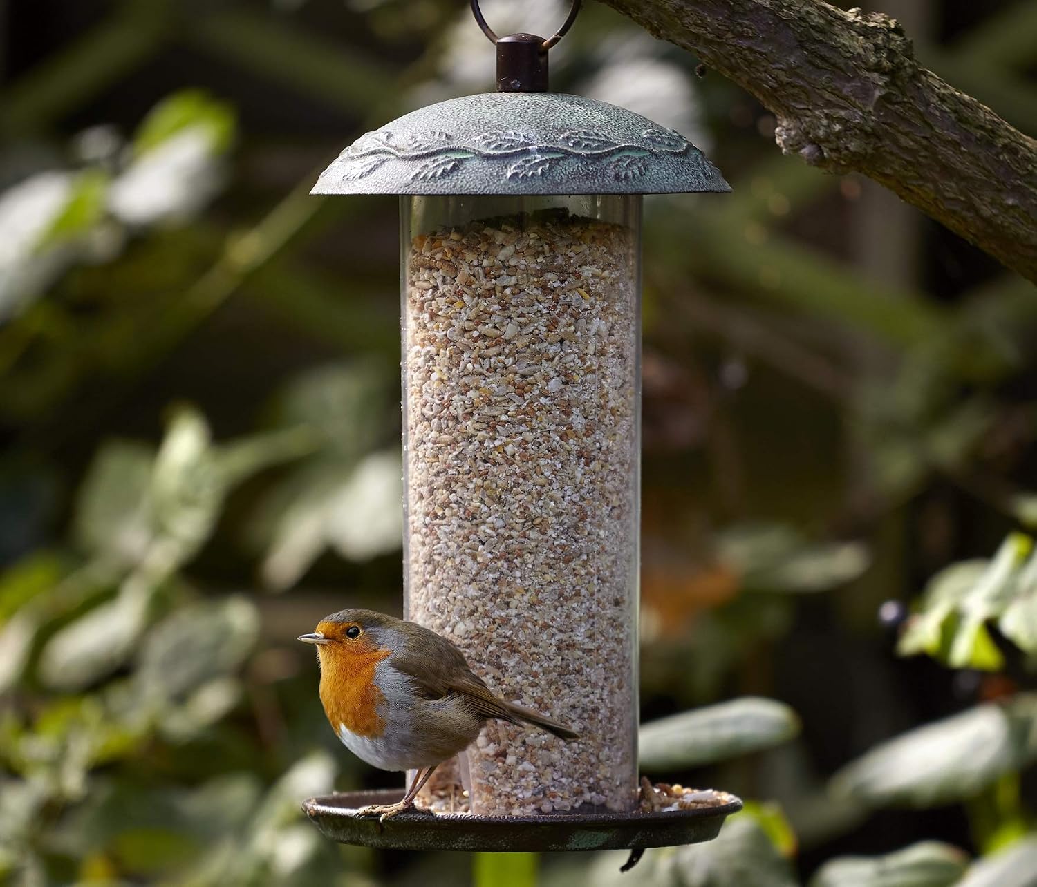Thumbnail 1 de Peckish 60051246 Complete Seed and Nut No Mess Wild Bird Food Mix, 20 kg