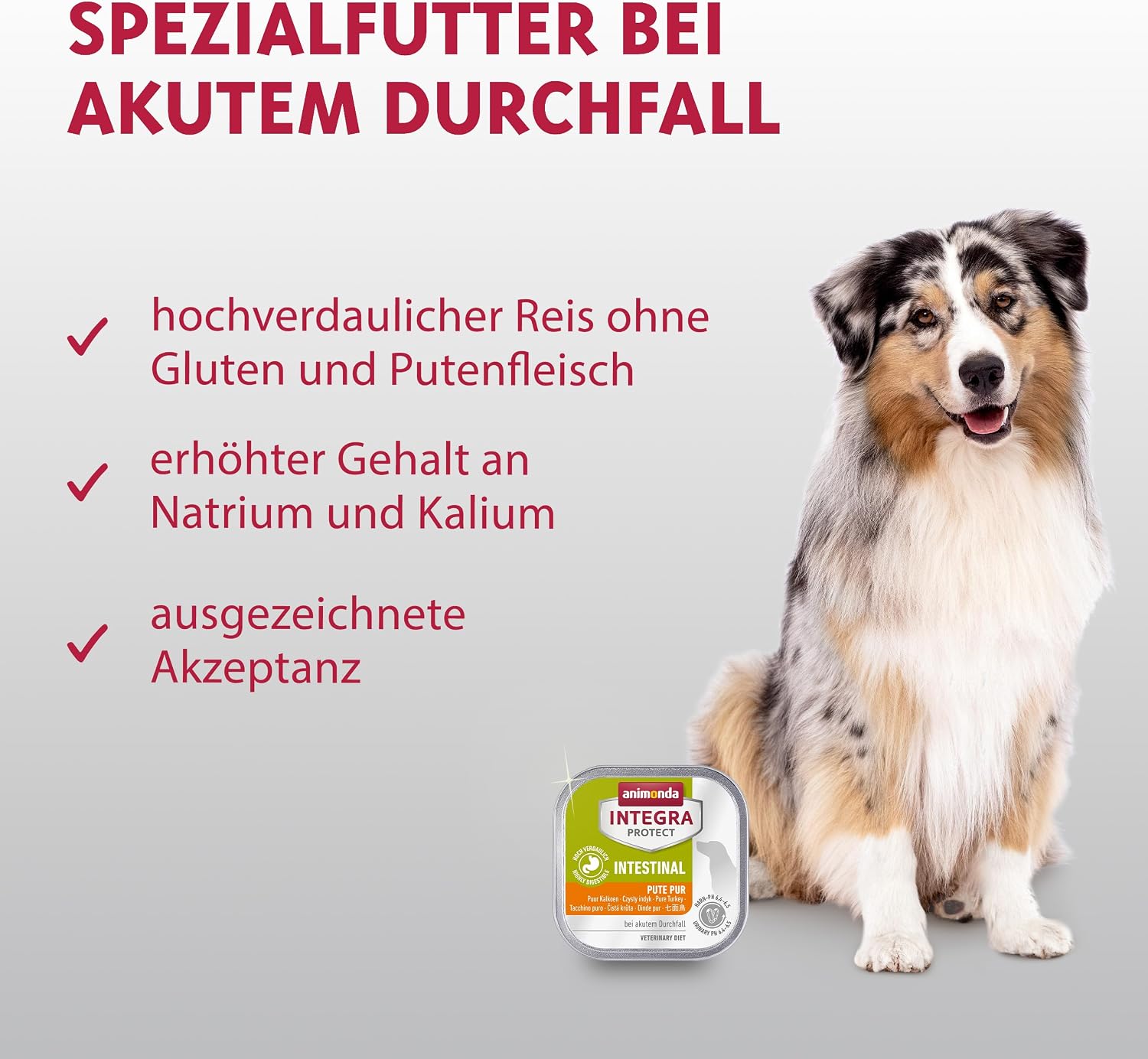 Detalle de animonda INTEGRA PROTECT Intestinal Pute Pur – Nassfutter bei Durchfall & Erbrechen (11 x 150 g)