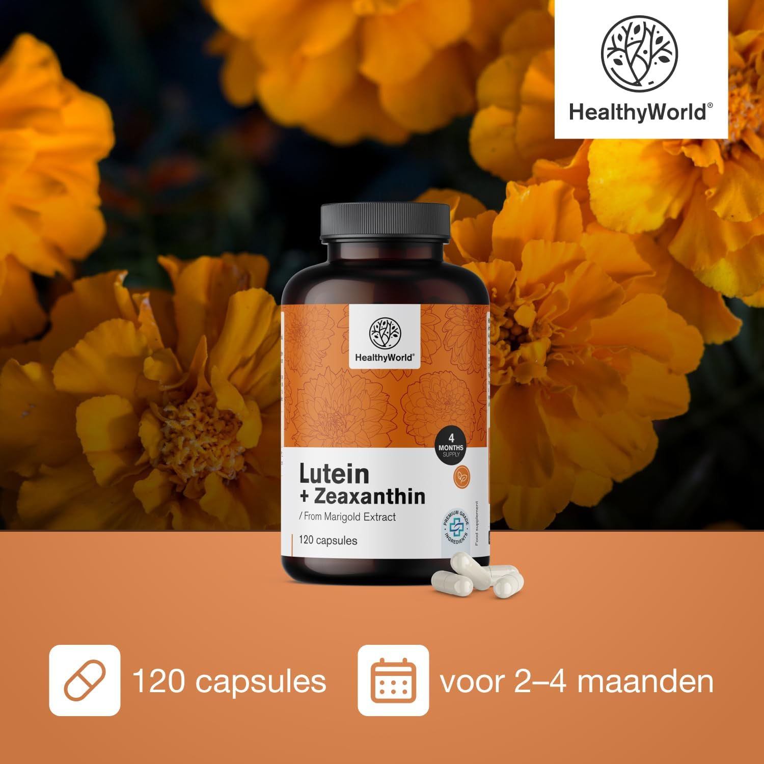 Detalle 2 de HealthyWorld Luteïne + Zeaxanthine supplement, 32 mg + 2 mg, 120 capsules
